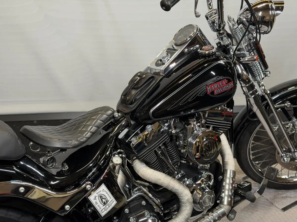Harley-Davidson 1584 Custom (2008 - 09) - FXSTC (5)