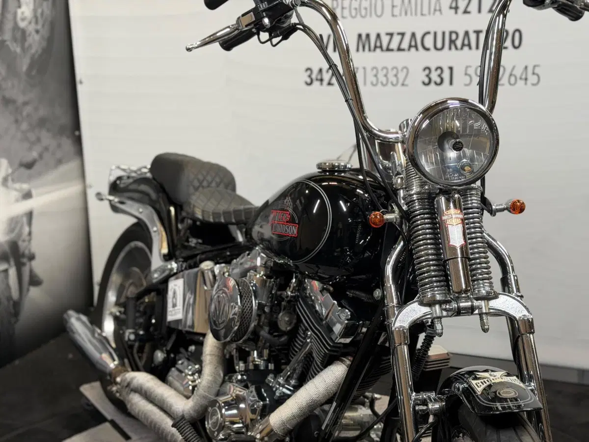 Harley-Davidson 1584 Custom (2008 - 09) - FXSTC (6)