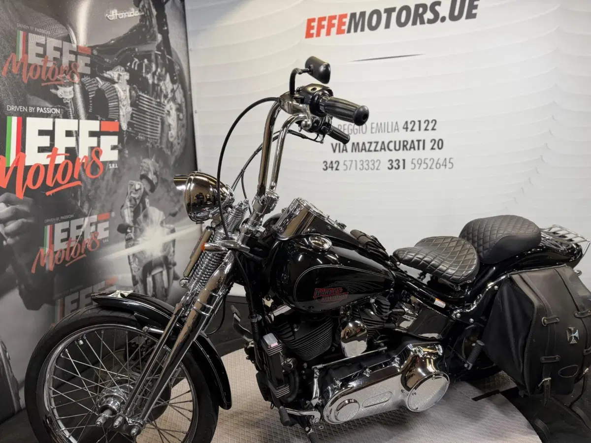 Harley-Davidson 1584 Custom (2008 - 09) - FXSTC (7)