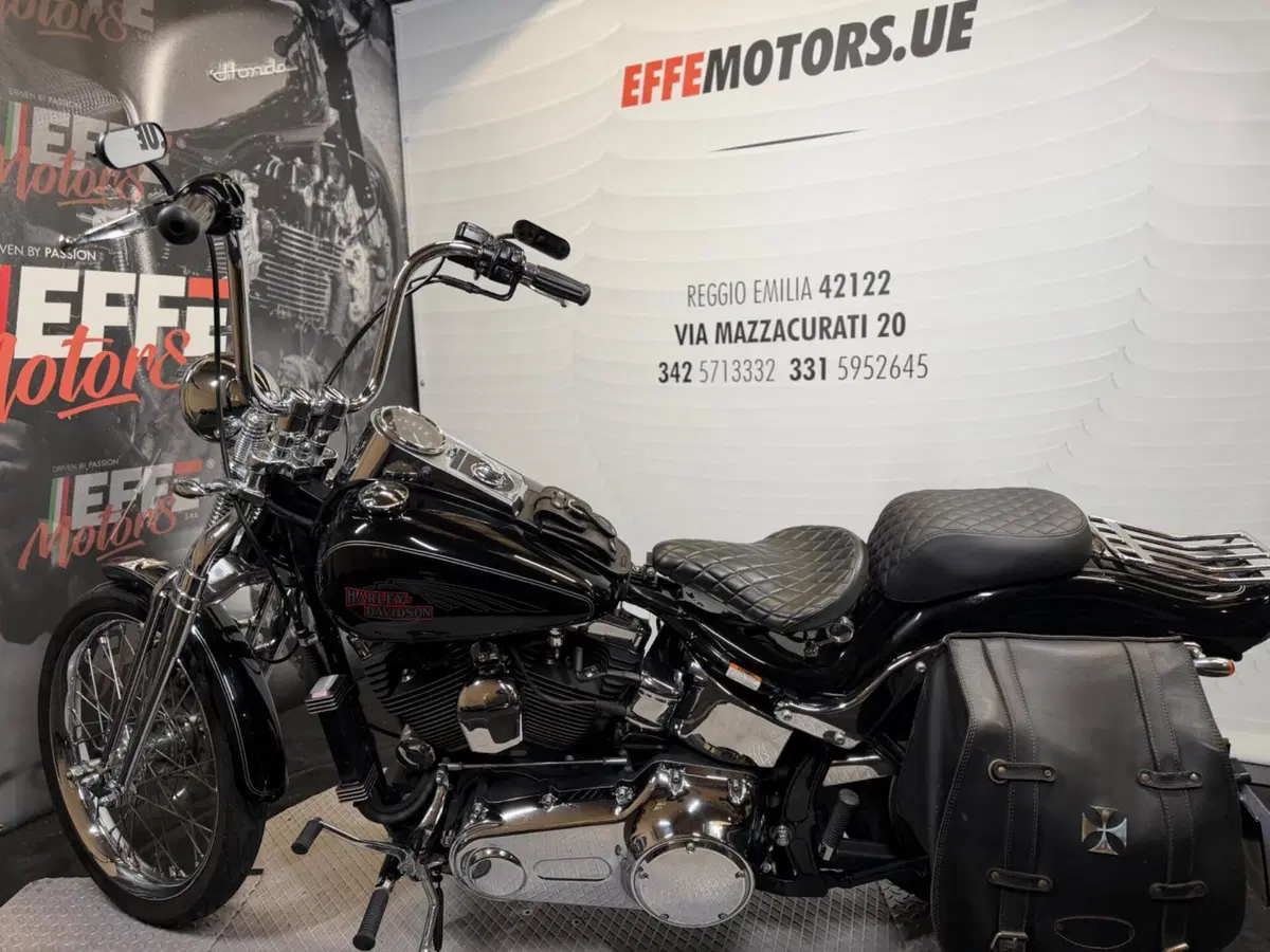 Harley-Davidson 1584 Custom (2008 - 09) - FXSTC (8)