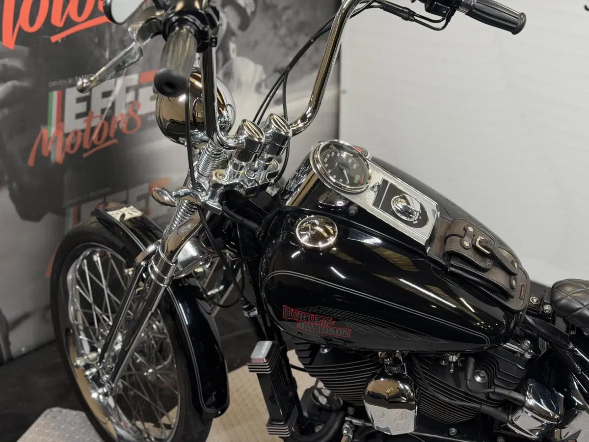 Harley-Davidson 1584 Custom (2008 - 09) - FXSTC (10)