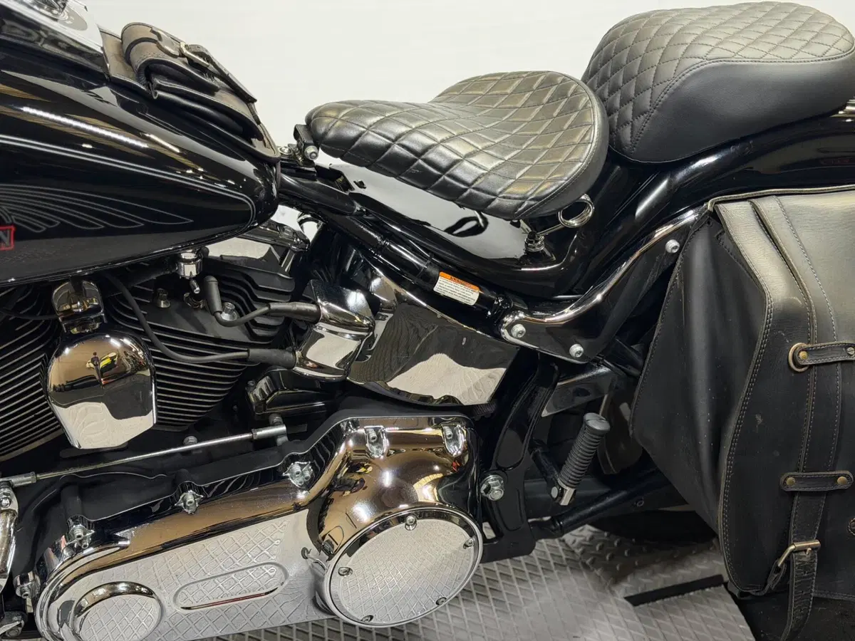 Harley-Davidson 1584 Custom (2008 - 09) - FXSTC (12)