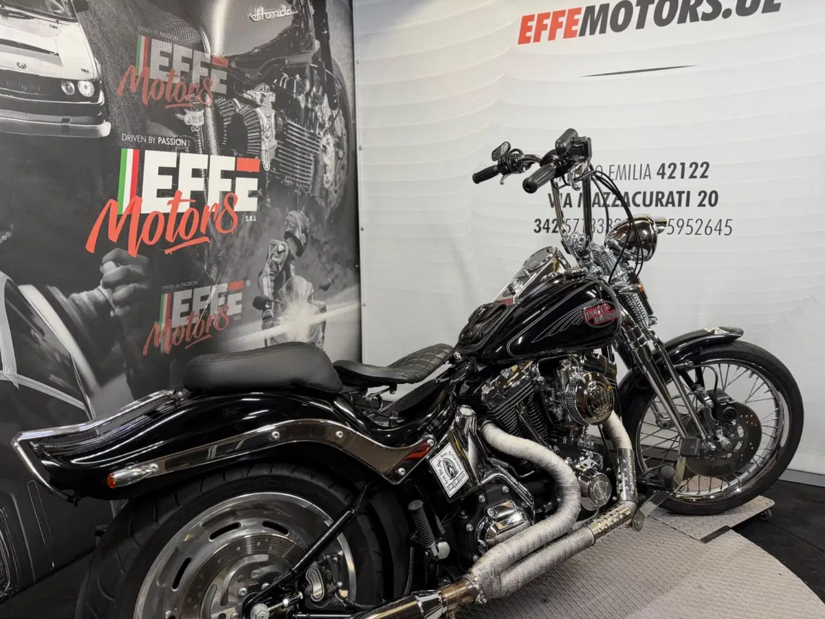 Harley-Davidson 1584 Custom (2008 - 09) - FXSTC (14)