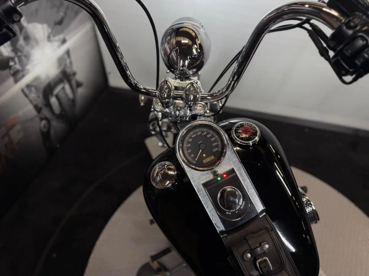 Harley-Davidson 1584 Custom (2008 - 09) - FXSTC (15)