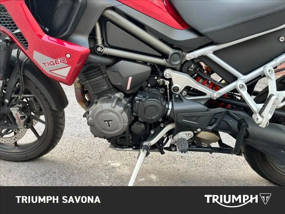 Triumph Tiger 1200 GT Pro (2024 - 26) (15)