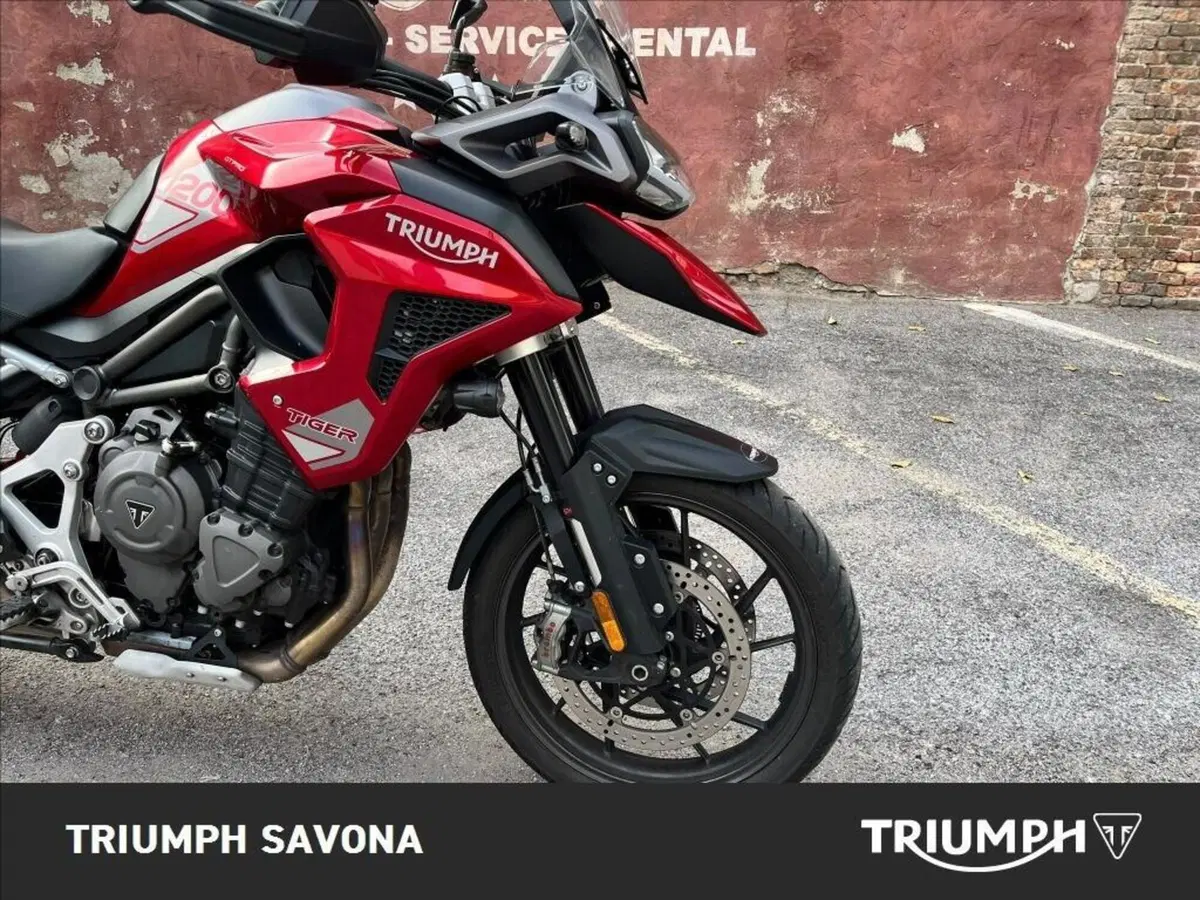 Triumph Tiger 1200 GT Pro (2024 - 26) (9)