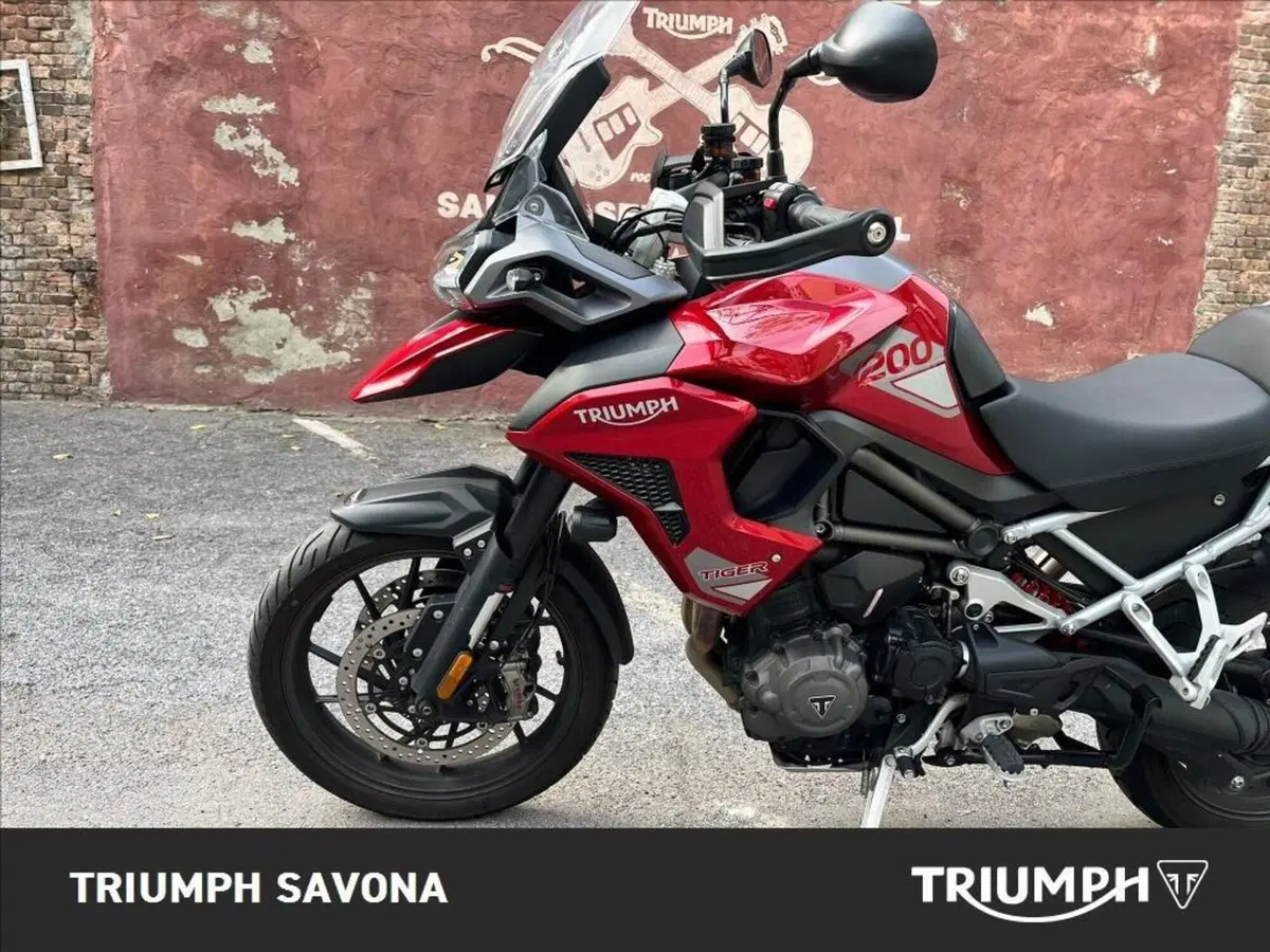 Triumph Tiger 1200 GT Pro (2024 - 26) (16)