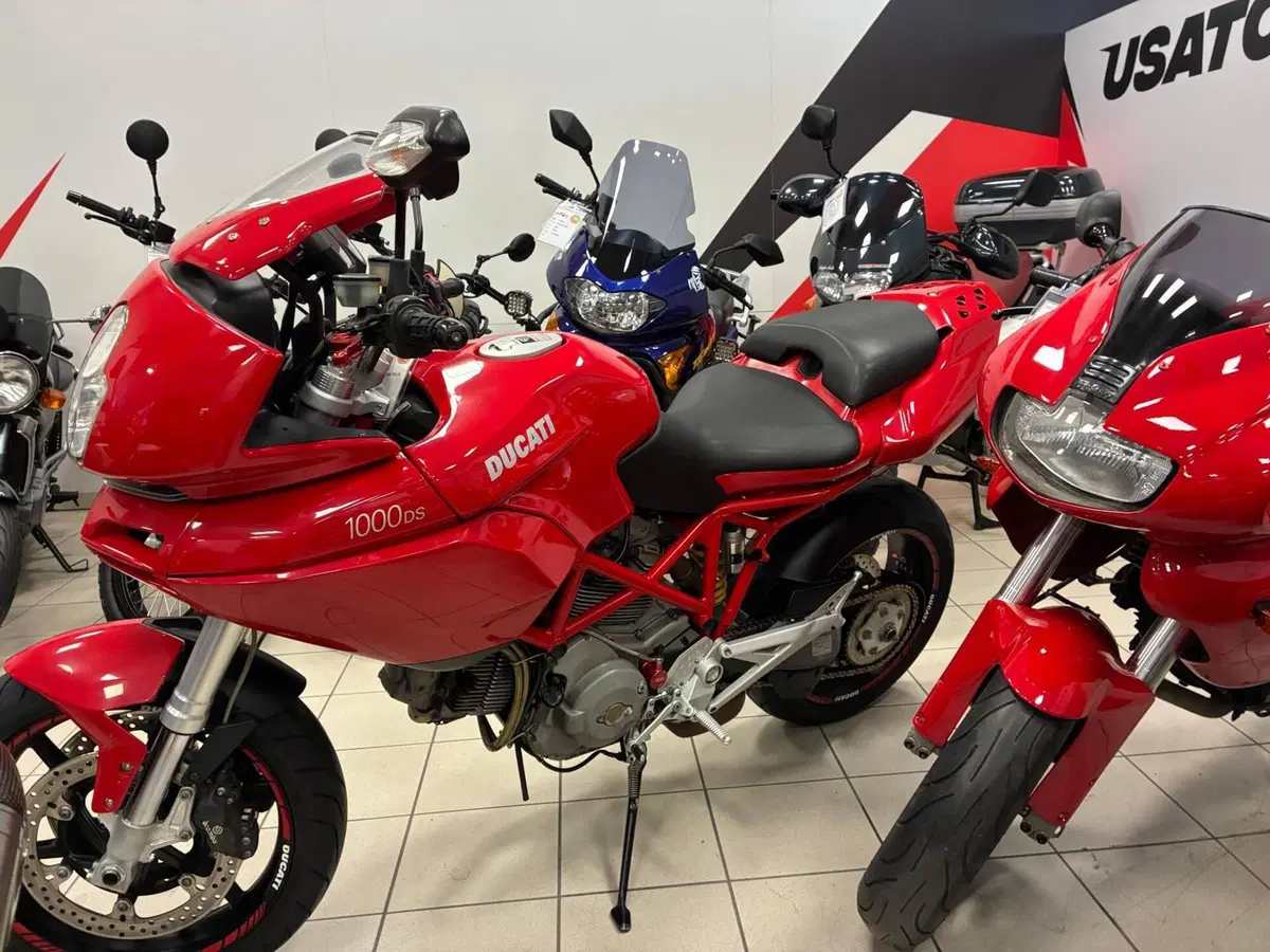 Ducati Multistrada 1000 DS (2003 - 06) (10)
