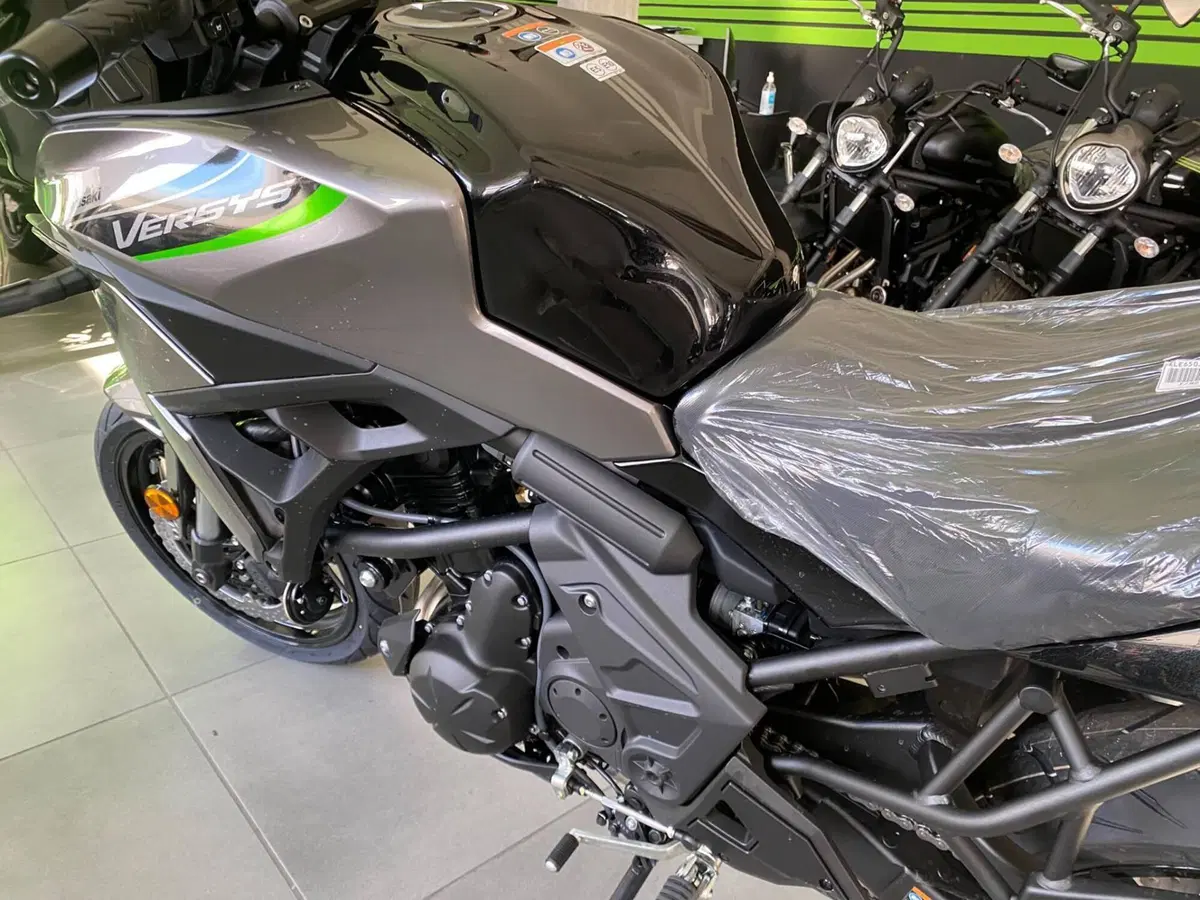 Kawasaki Versys 650 (2025 - 27) (4)