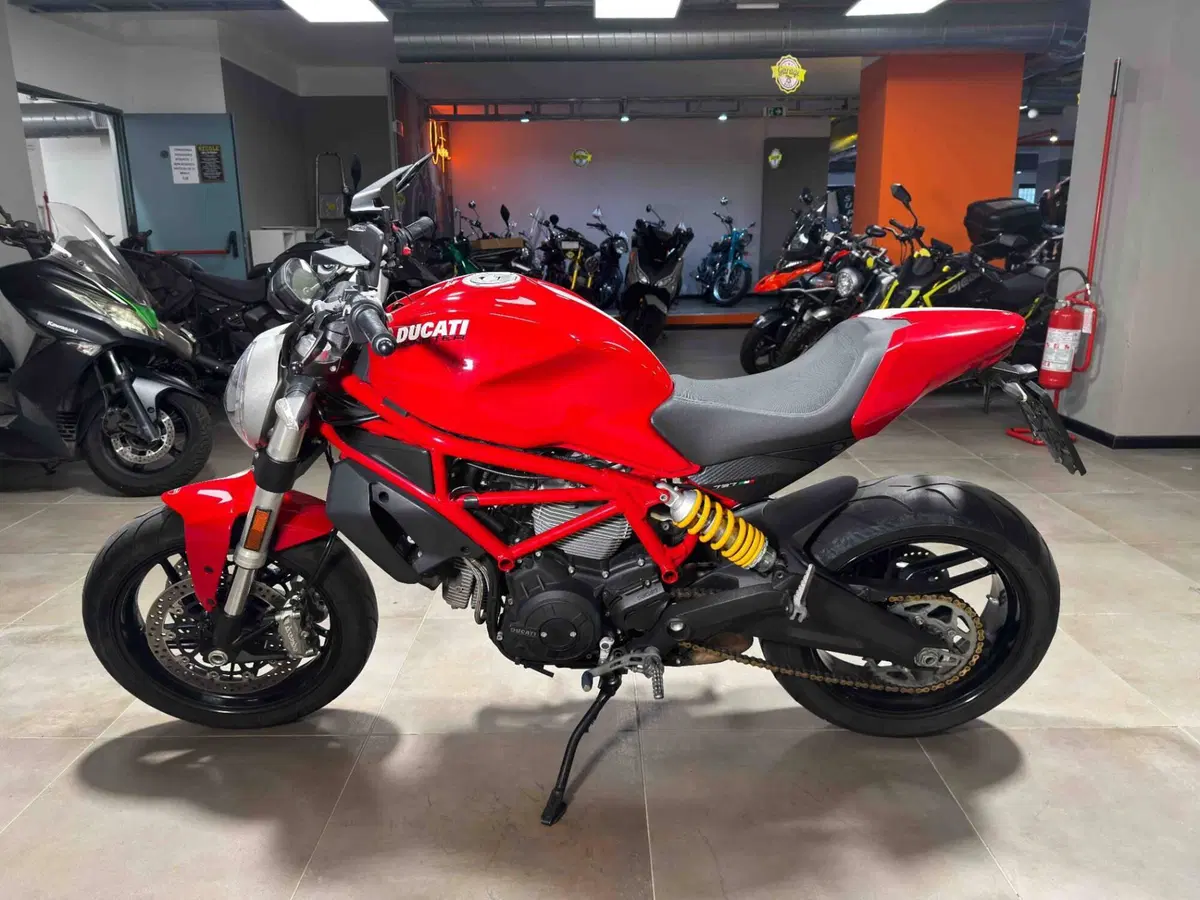 Ducati Monster 797 (2017 - 18) (4)