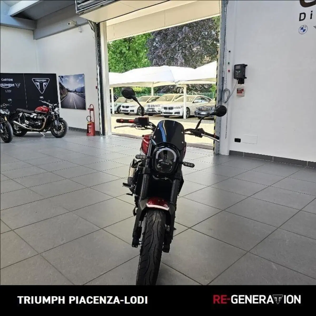 Benelli Leoncino 250 (2019 - 20) (5)
