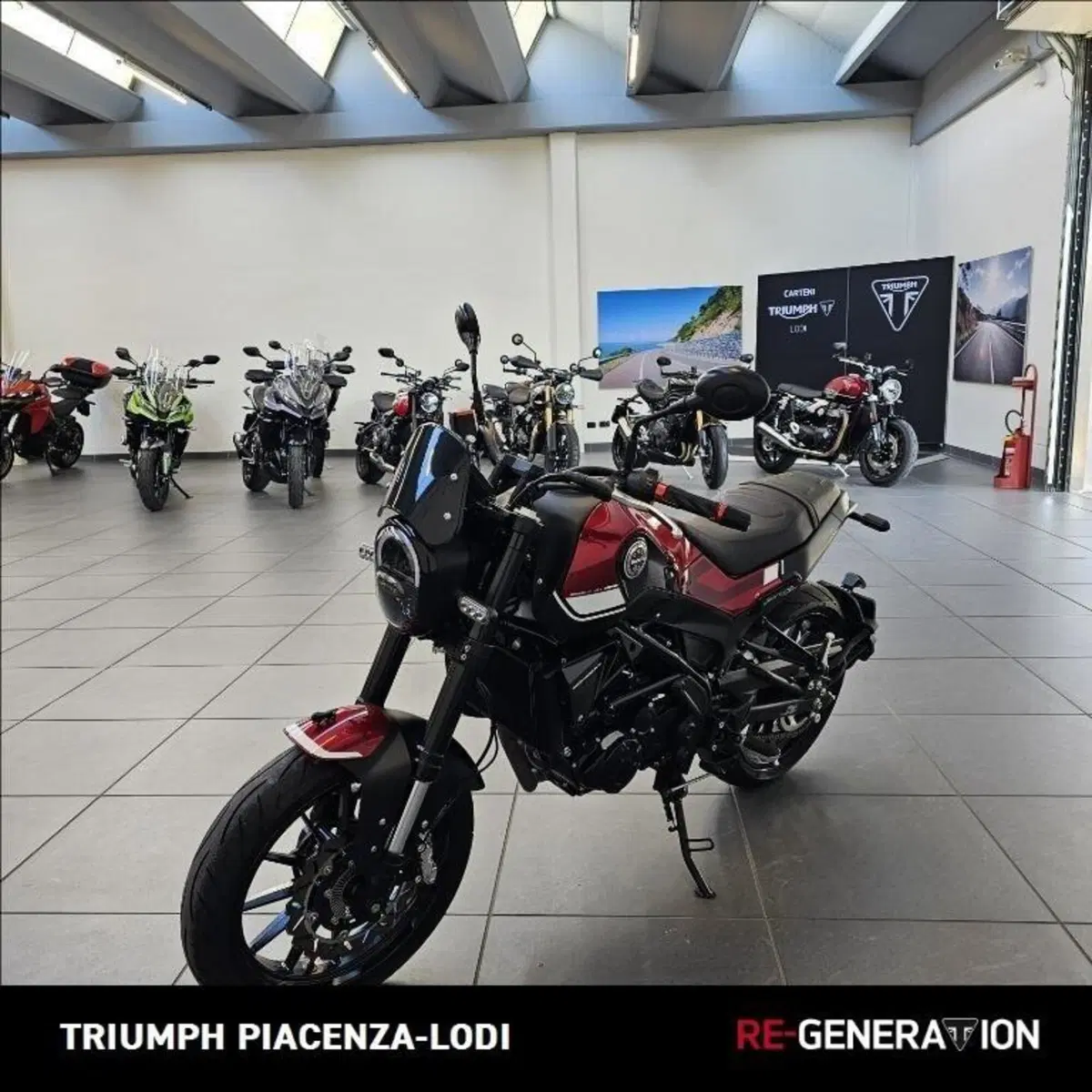 Benelli Leoncino 250 (2019 - 20) (2)