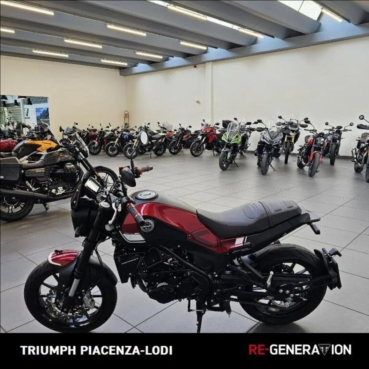 Benelli Leoncino 250 (2019 - 20) (6)