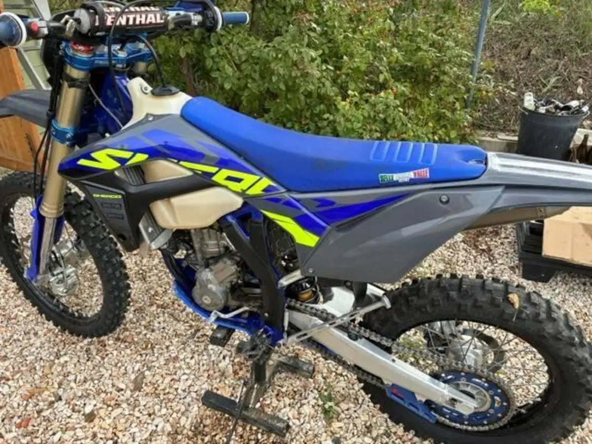 Sherco 300 SEF Factory (2024) (2)