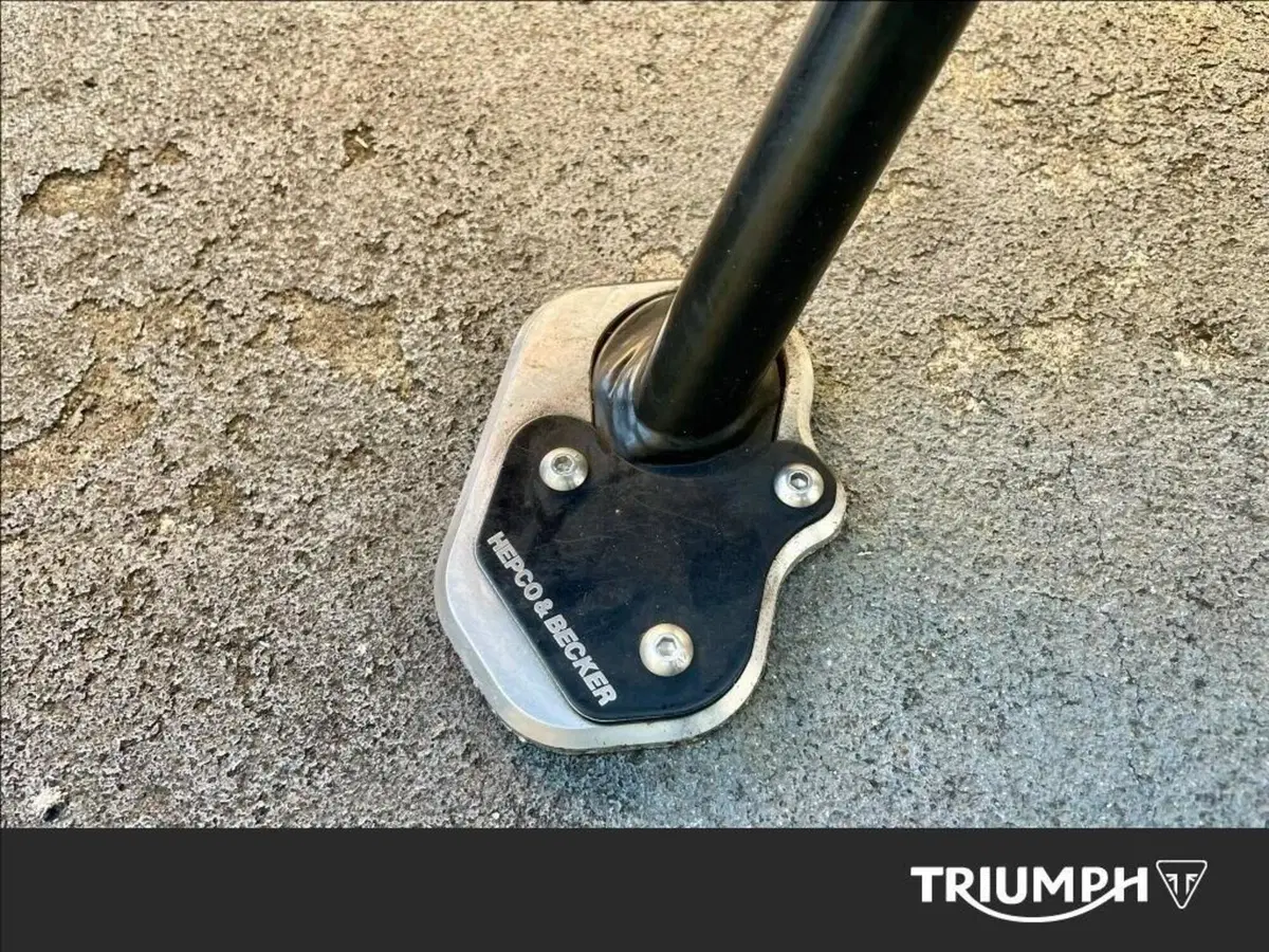 Triumph Scrambler 400 X (2024 - 26) (9)