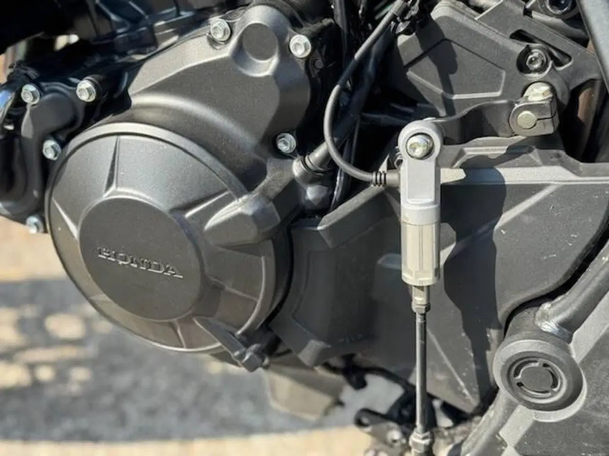 Honda Transalp XL750 (2025) (6)
