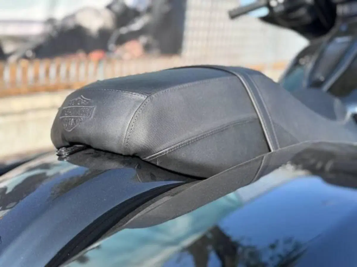 Harley-Davidson Street Glide (2024 - 26) (15)