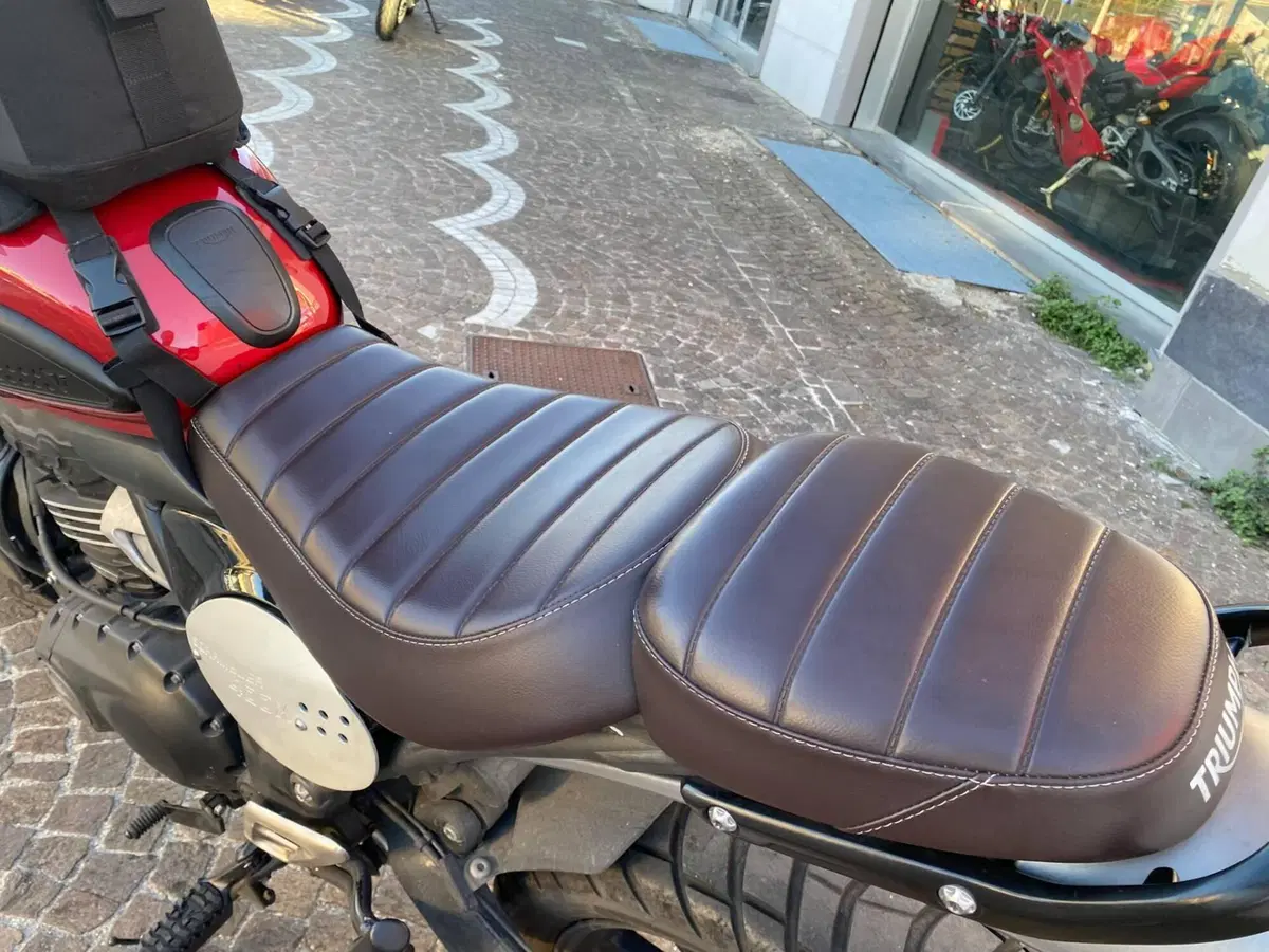 Triumph Scrambler 400 X (2024 - 26) (5)