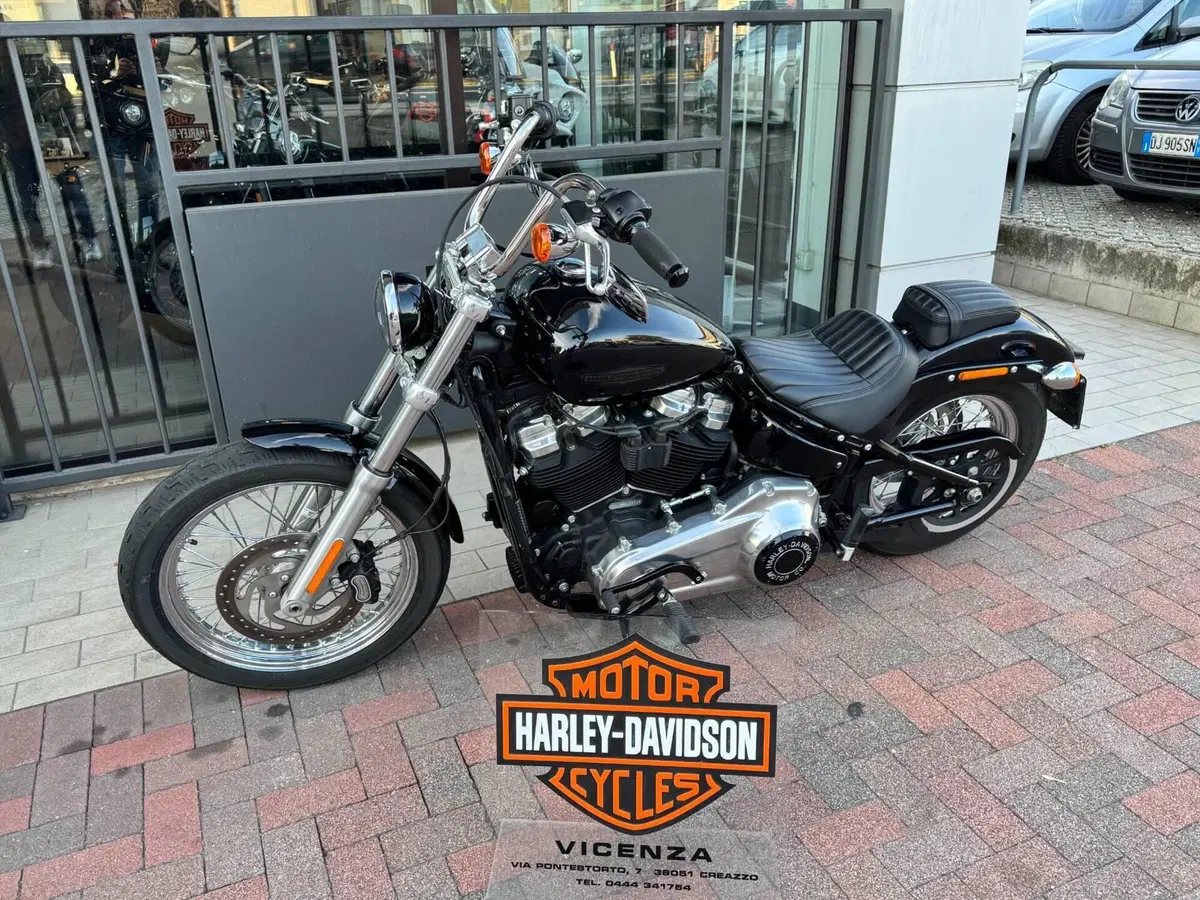 Harley-Davidson Softail Standard (2020) - FXST (2)