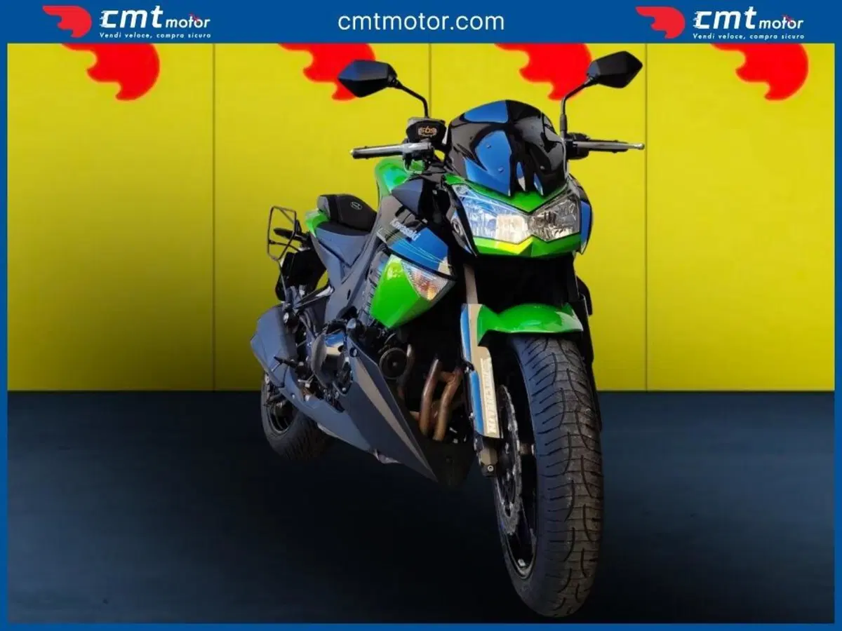 Kawasaki Z 1000 (2010 - 13) (2)