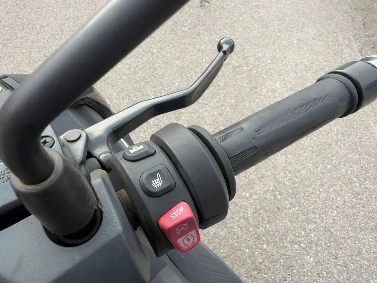 Bmw C 400 X (2021 - 24) (8)