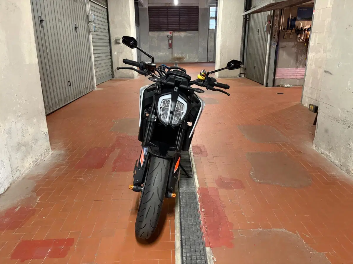 KTM 790 Duke L (2023 - 24) (9)