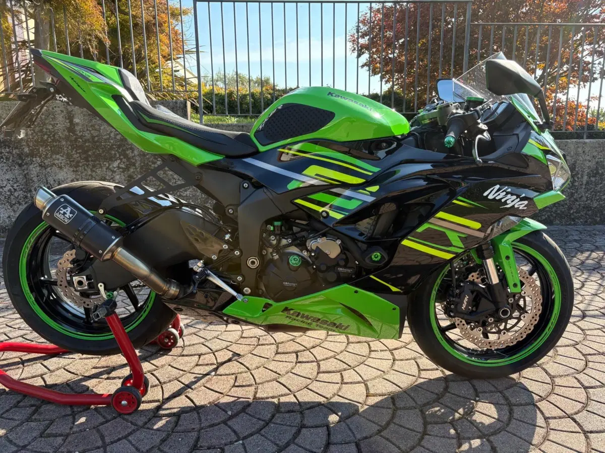 Kawasaki Ninja 636 ZX-6R KRT (2019 - 20) (2)