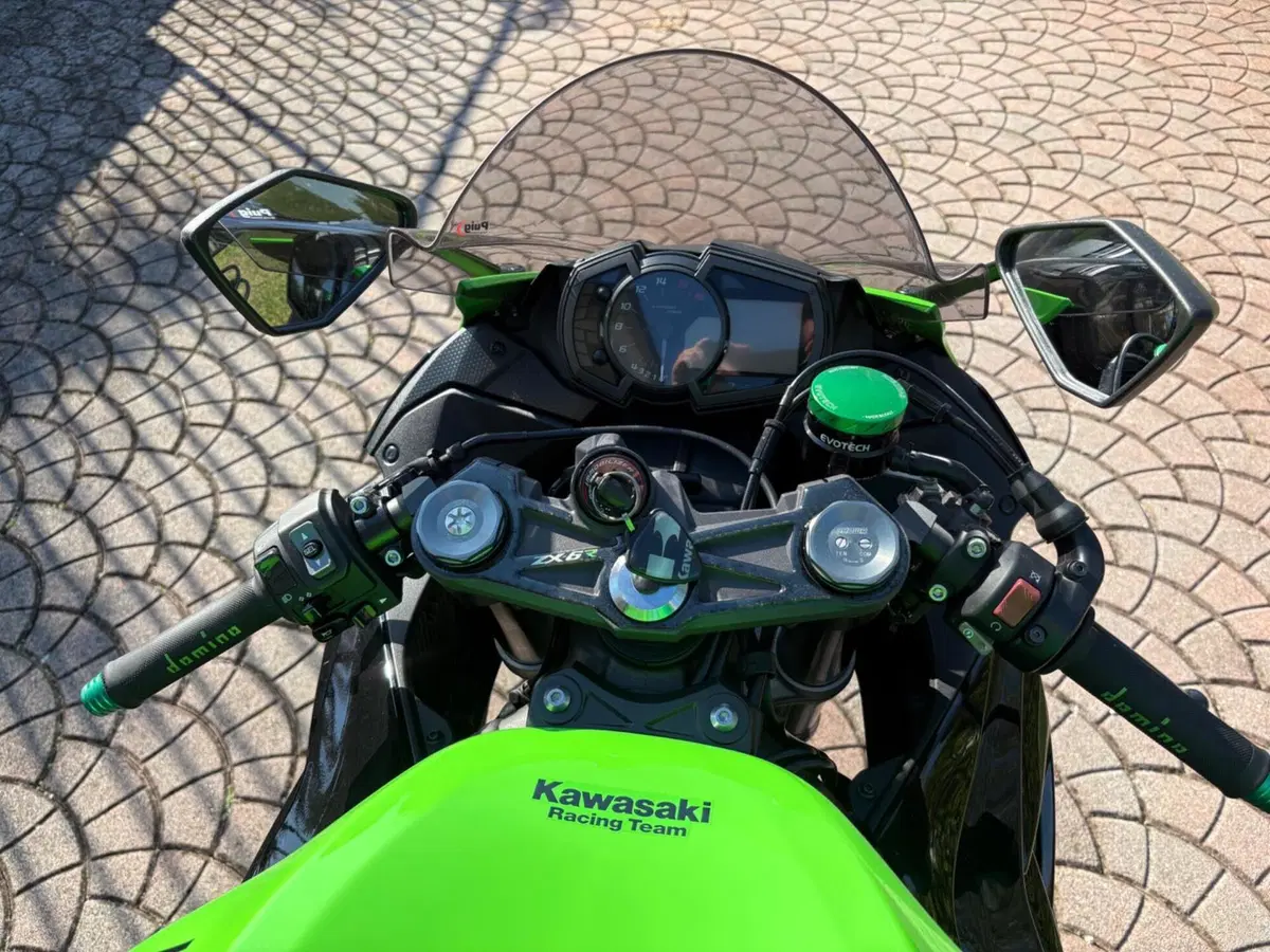 Kawasaki Ninja 636 ZX-6R KRT (2019 - 20) (9)