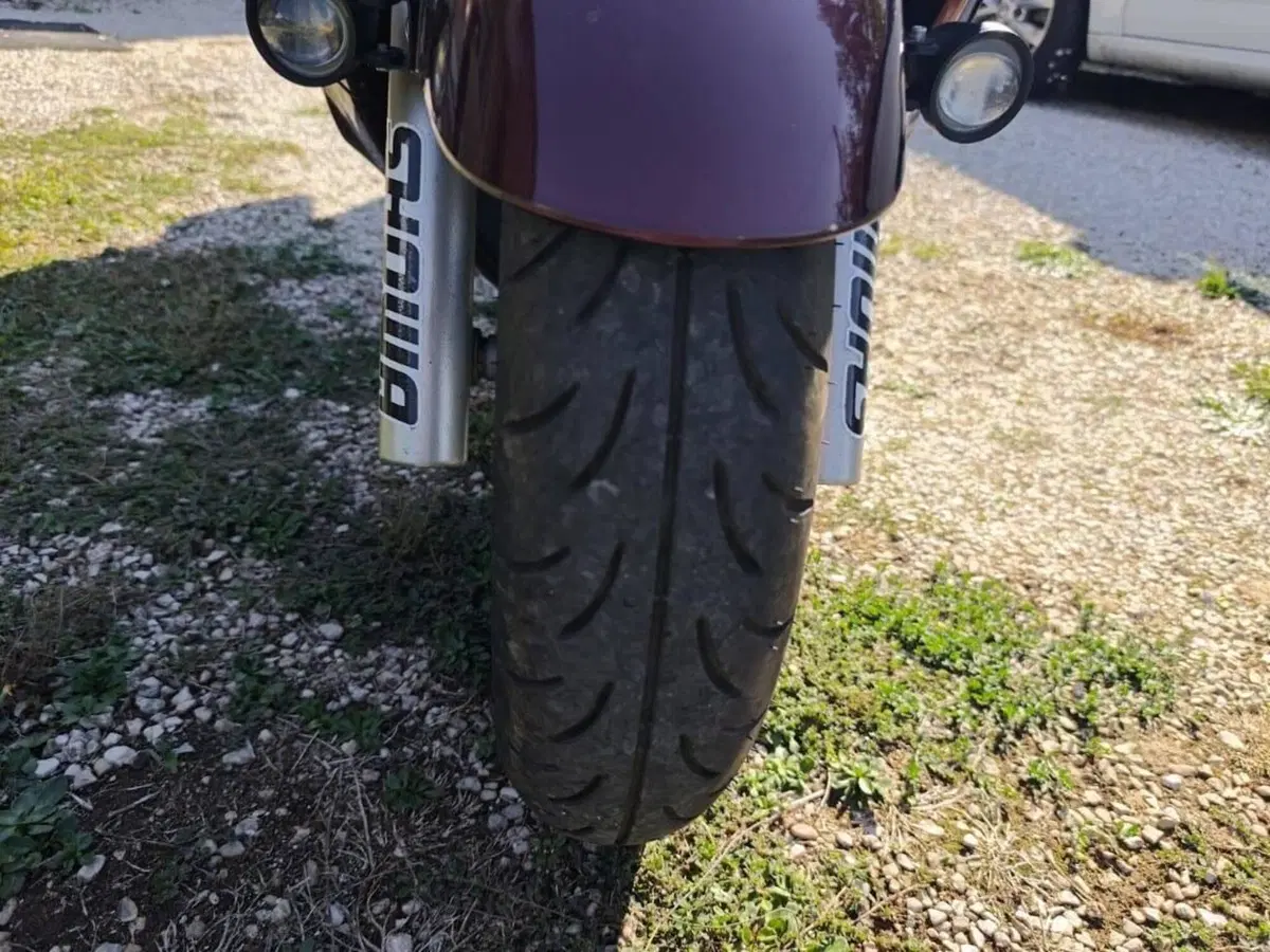 Honda Silver Wing 600 (2001 - 05) (18)