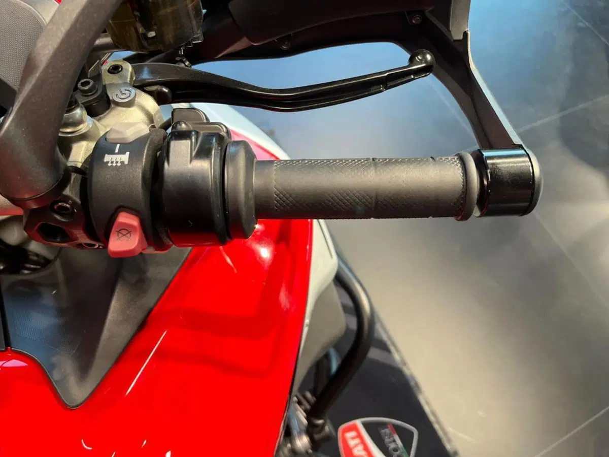 Ducati Multistrada 1260 Enduro (2019 - 21) (9)