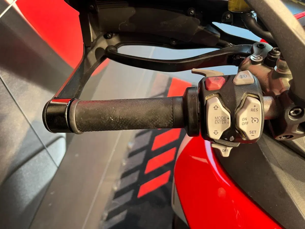 Ducati Multistrada 1260 Enduro (2019 - 21) (10)