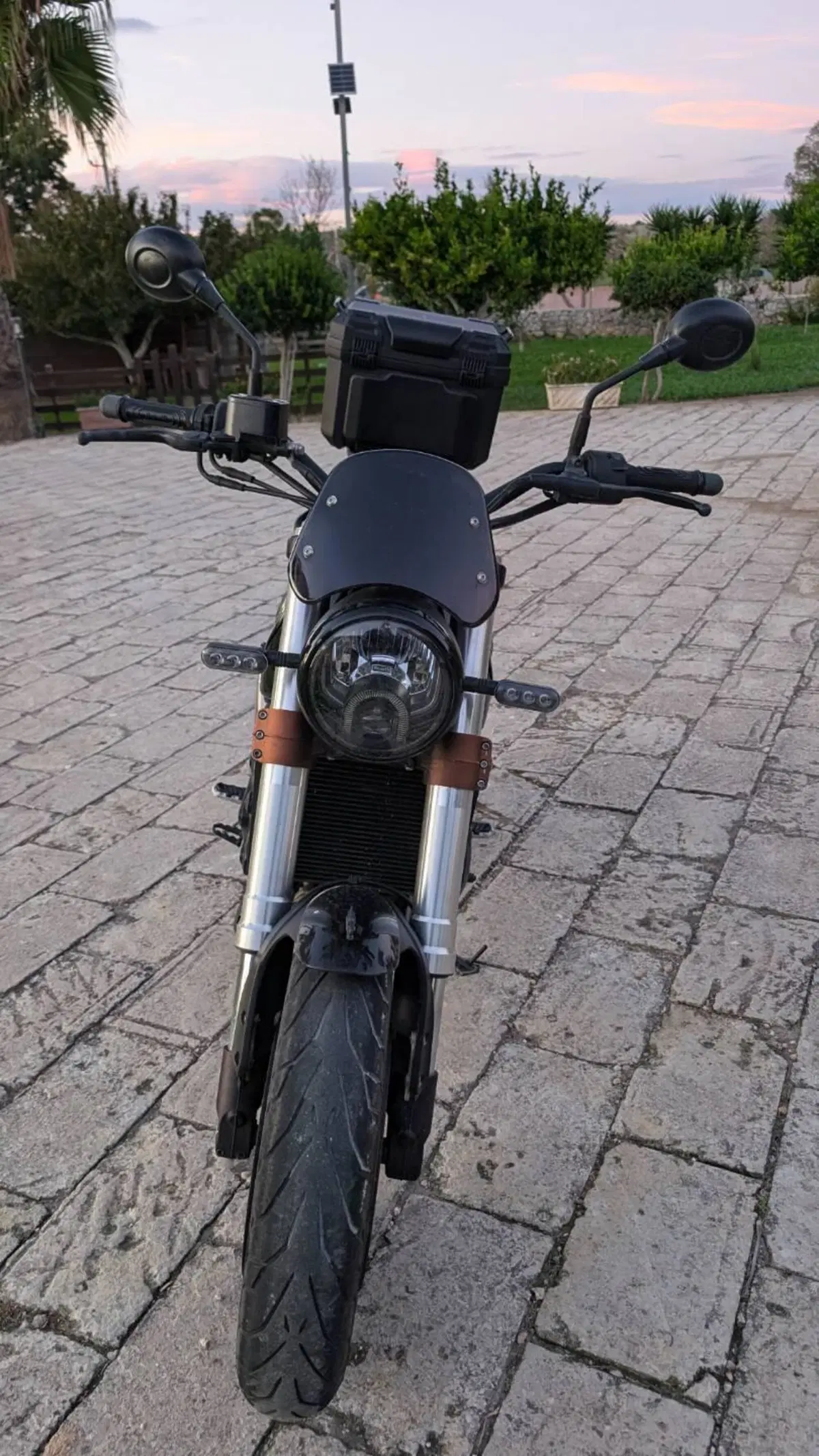 Benelli Leoncino 500 (2021 - 25) (3)