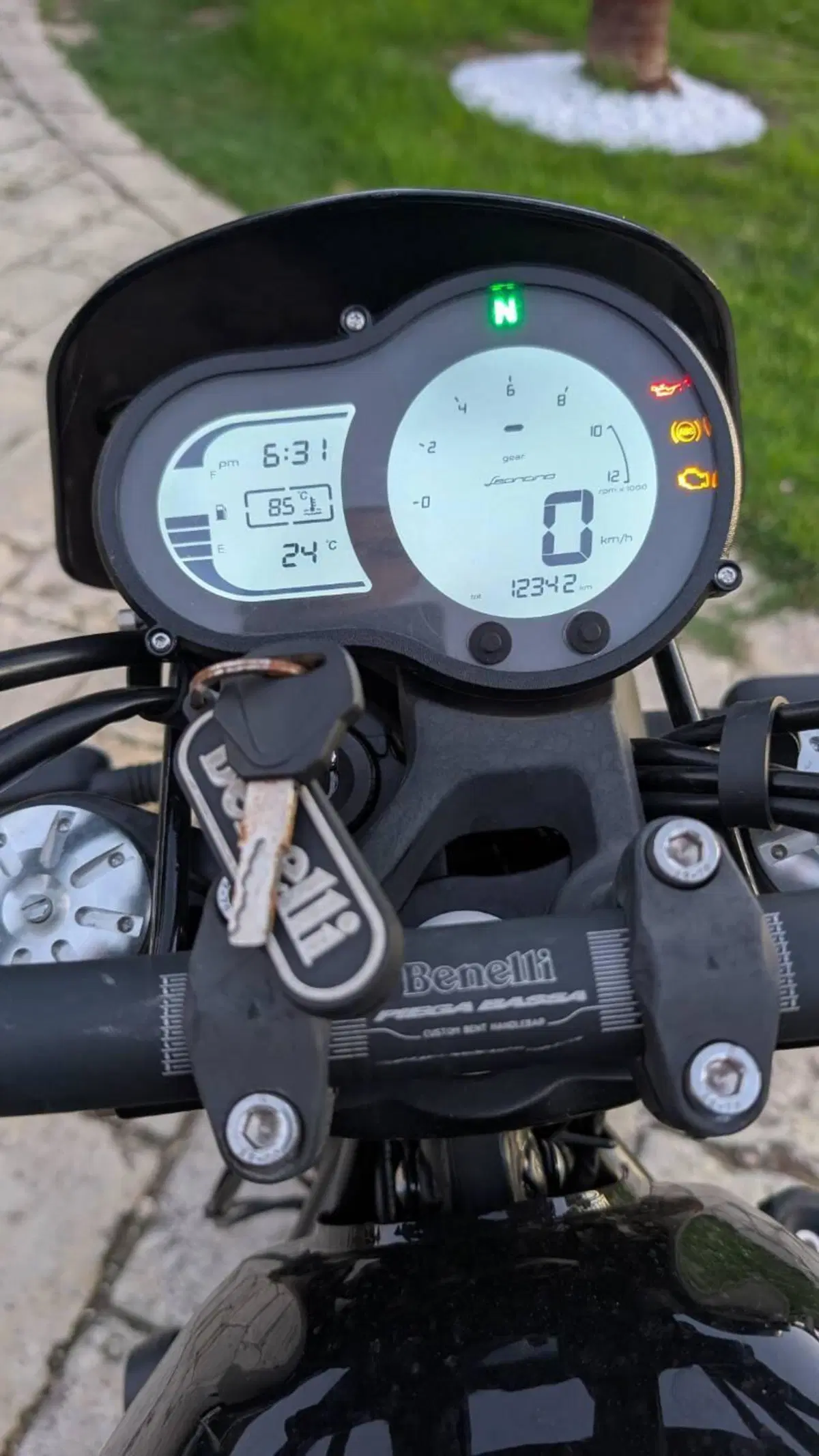 Benelli Leoncino 500 (2021 - 25) (4)