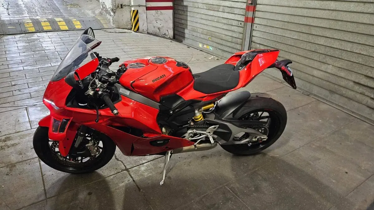 Ducati Panigale V4 (2025 - 26) (7)