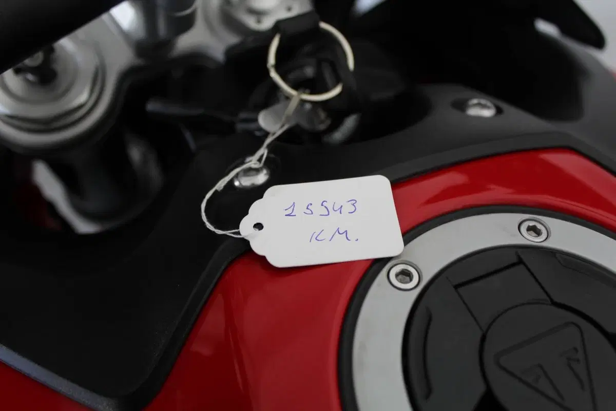 Triumph Tiger 900 GT Aragón Edition (2023 - 24) (11)