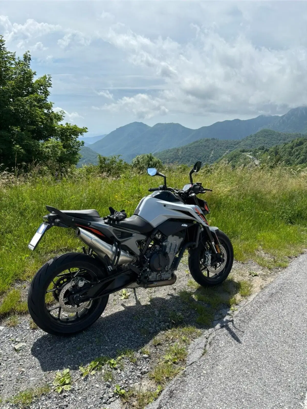 KTM 790 Duke L (2023 - 24)