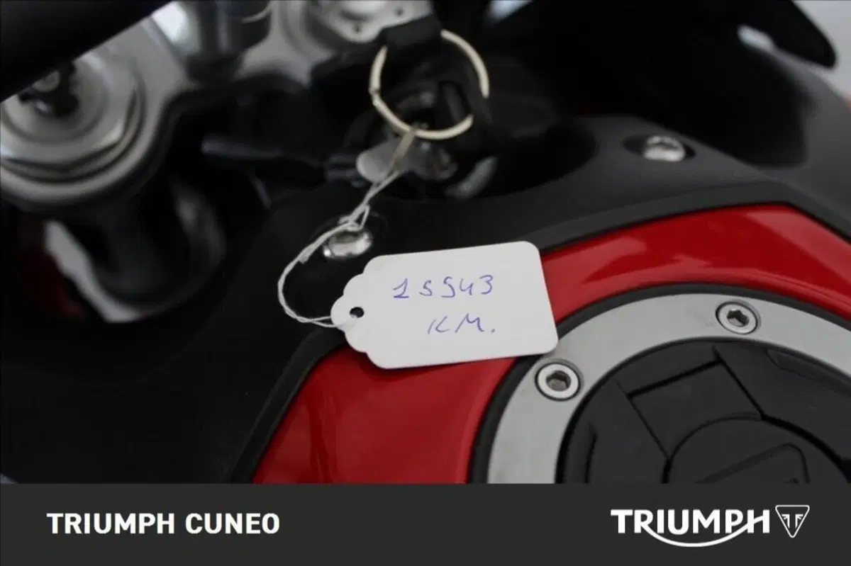 Triumph Tiger 900 GT Aragón Edition (2023 - 24) (13)