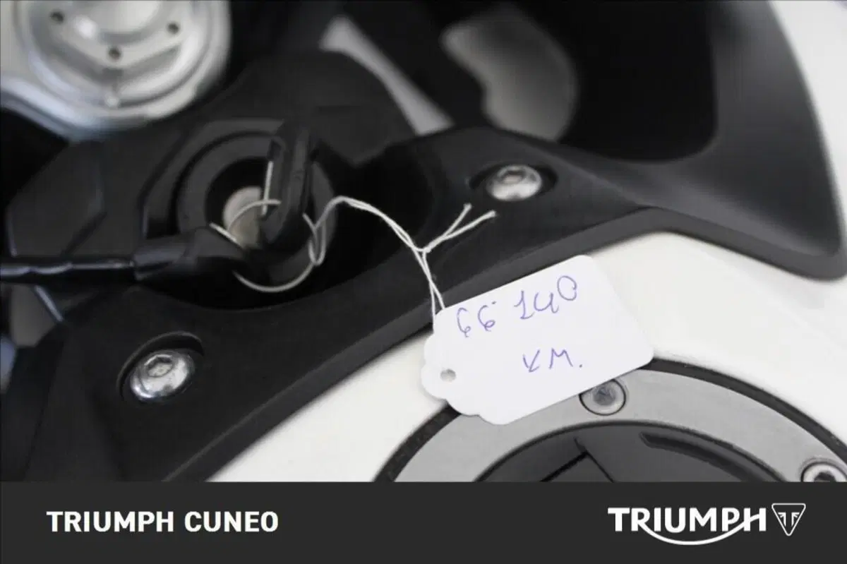 Triumph Tiger 900 GT (2020 - 23) (14)