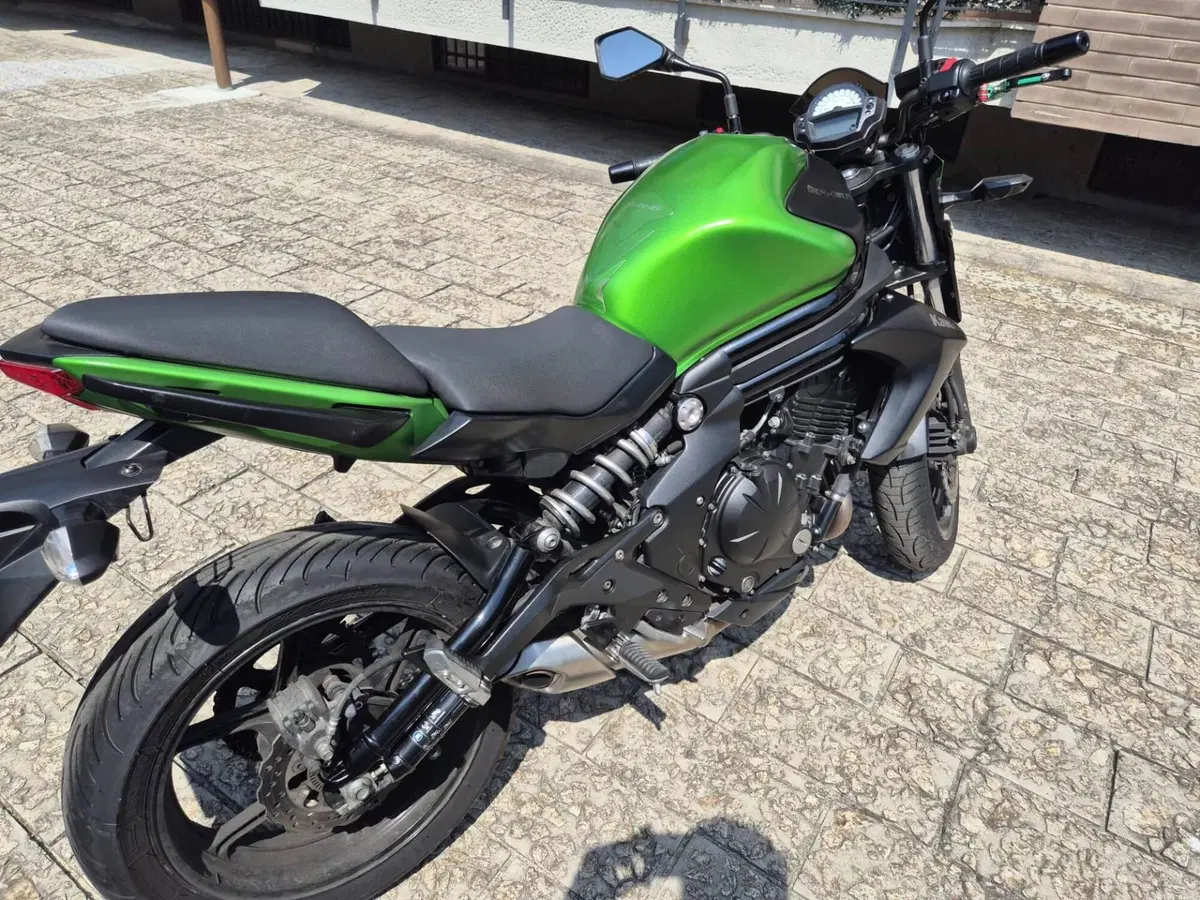 Kawasaki ER-6N ABS (2012 - 16) (3)