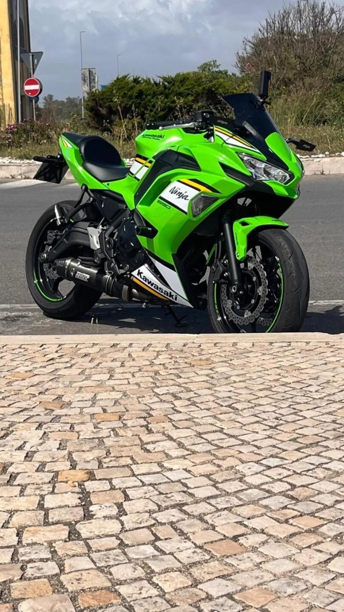 Kawasaki Ninja 650 (2025 - 26) (5)