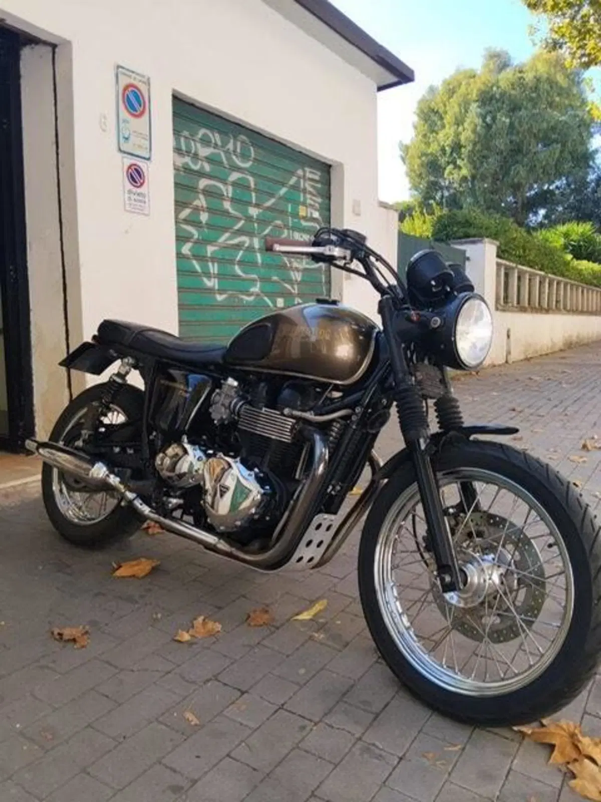 Triumph Bonneville SE (2009 - 13) (6)
