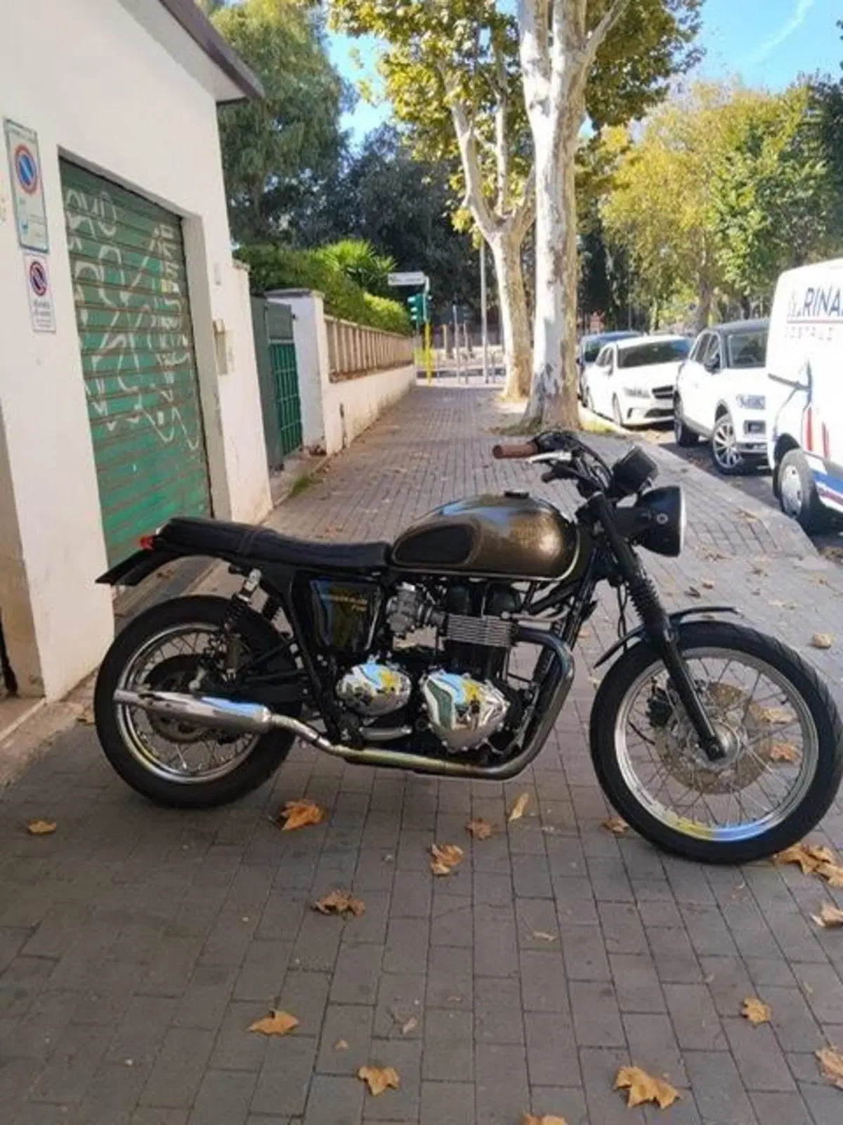 Triumph Bonneville SE (2009 - 13) (7)