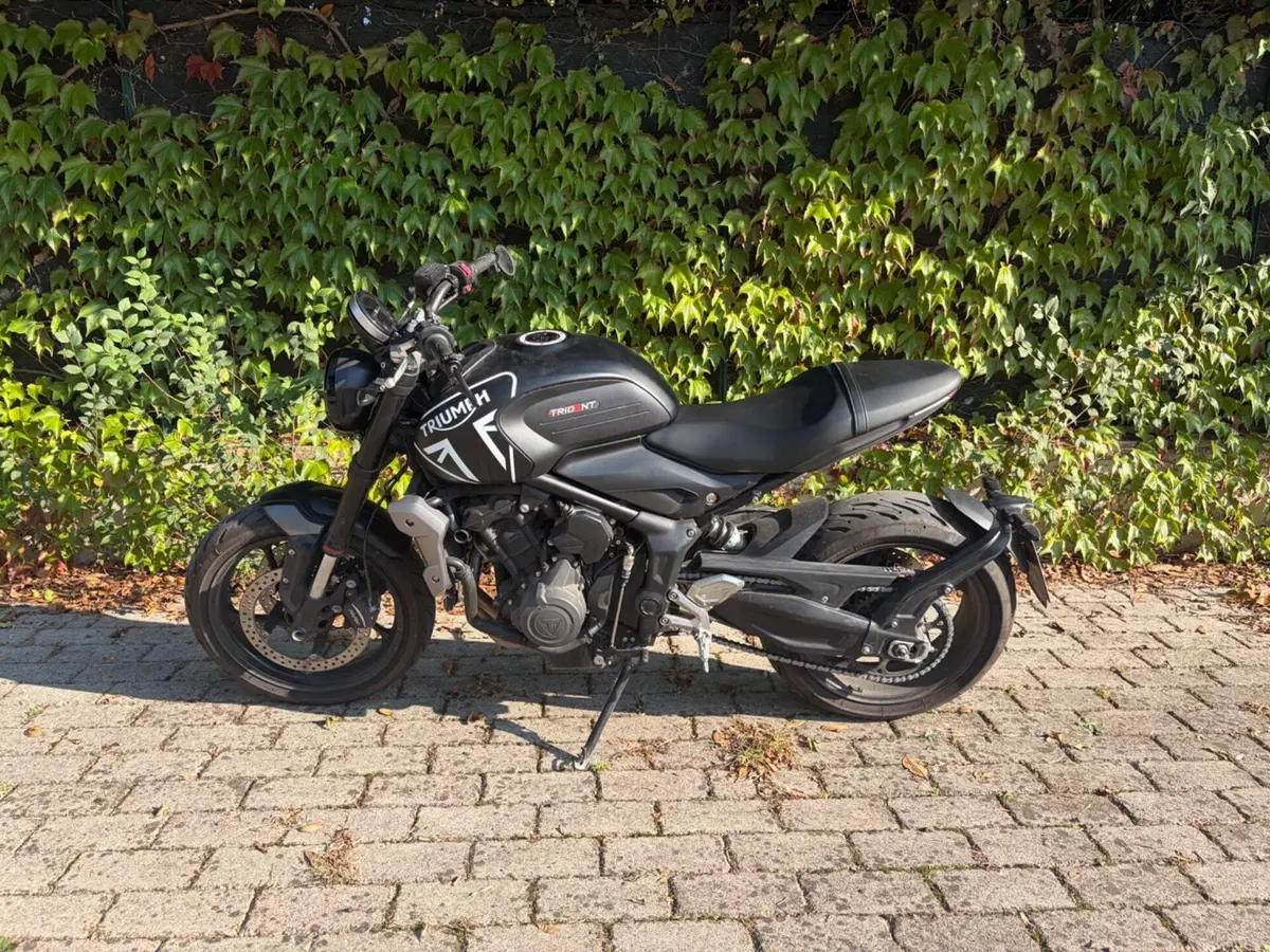 Triumph Trident 660 (2021 - 24) (2)