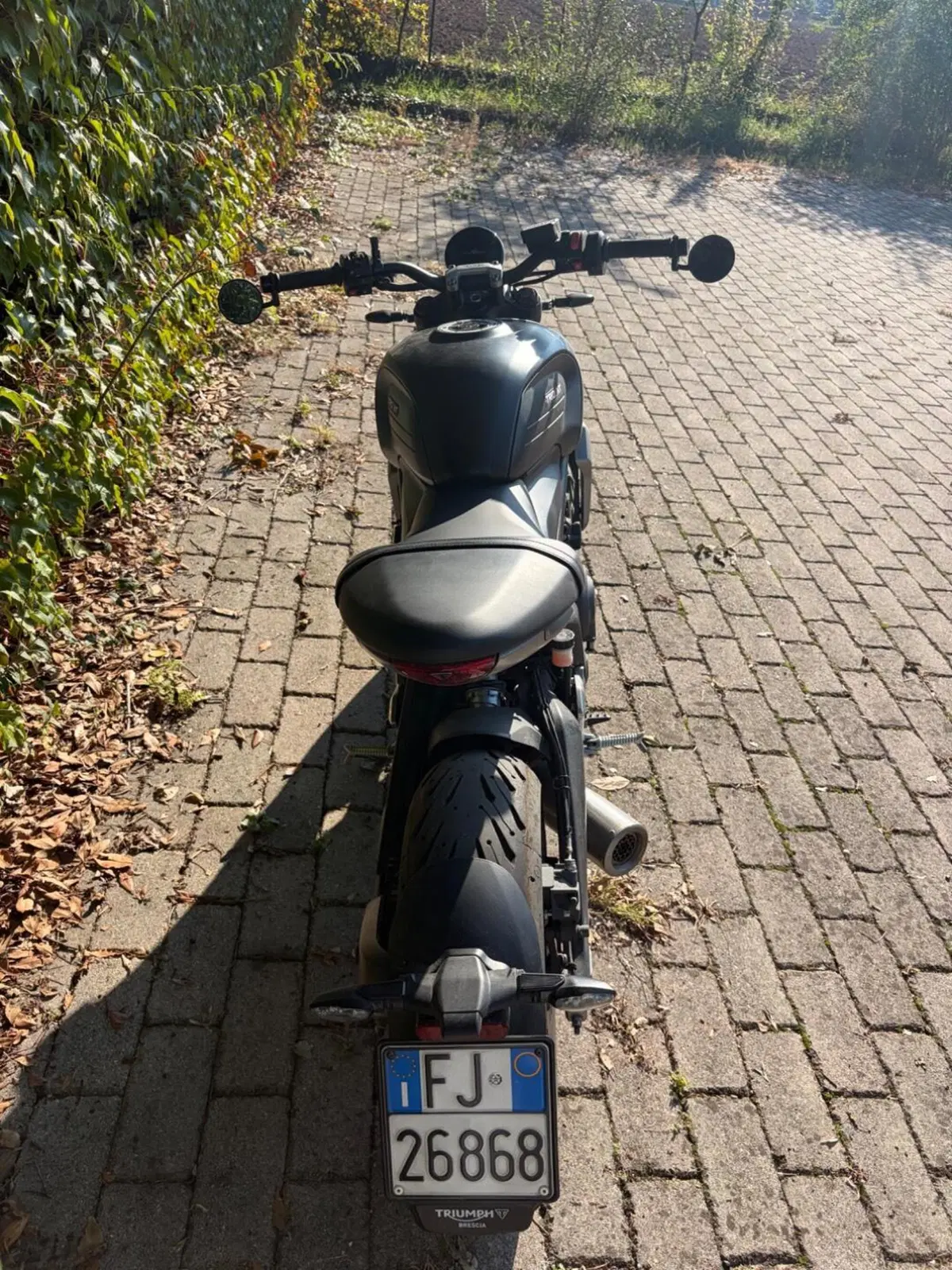 Triumph Trident 660 (2021 - 24) (3)