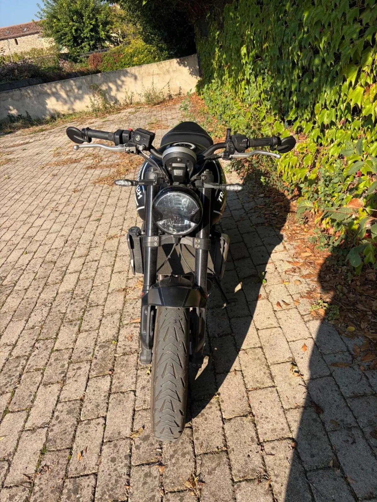 Triumph Trident 660 (2021 - 24) (4)