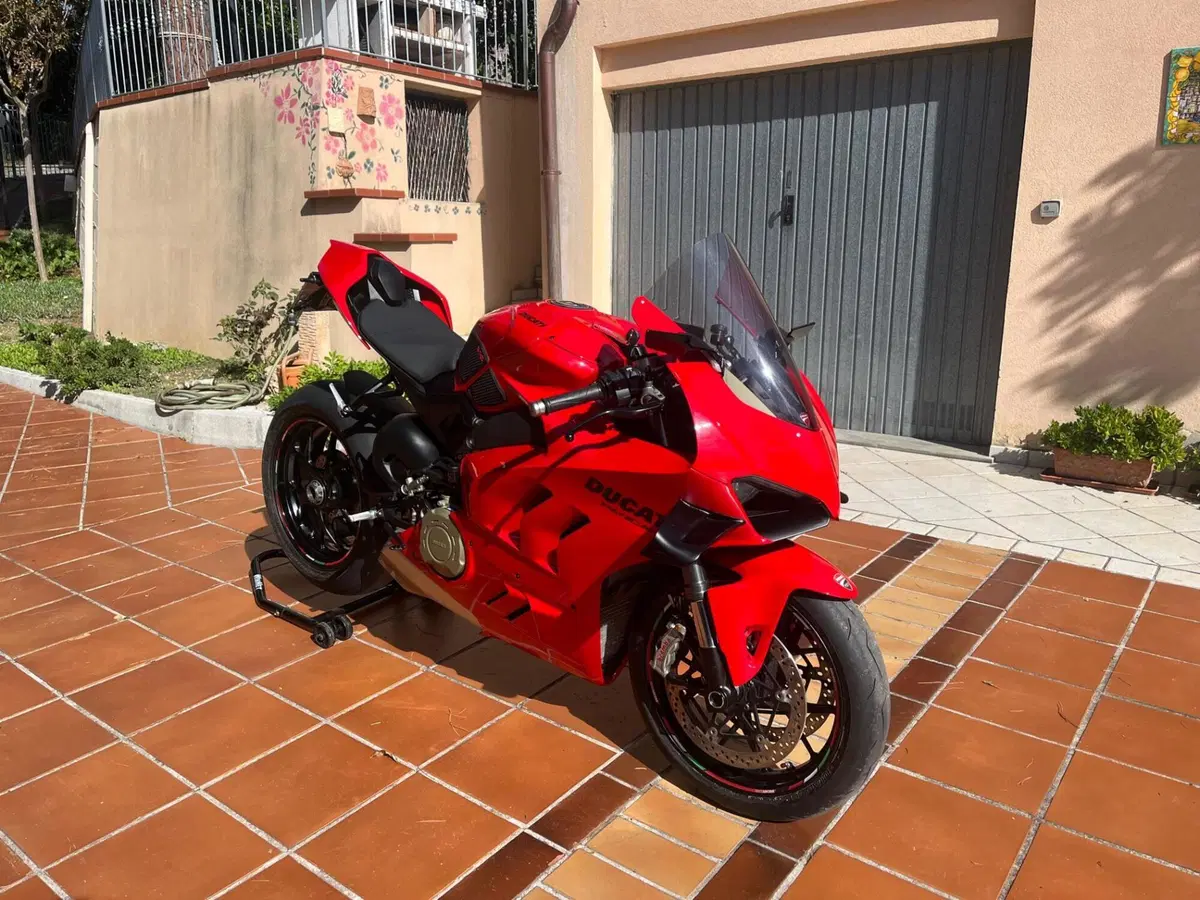 Ducati Panigale V4 (2022 - 24) (2)