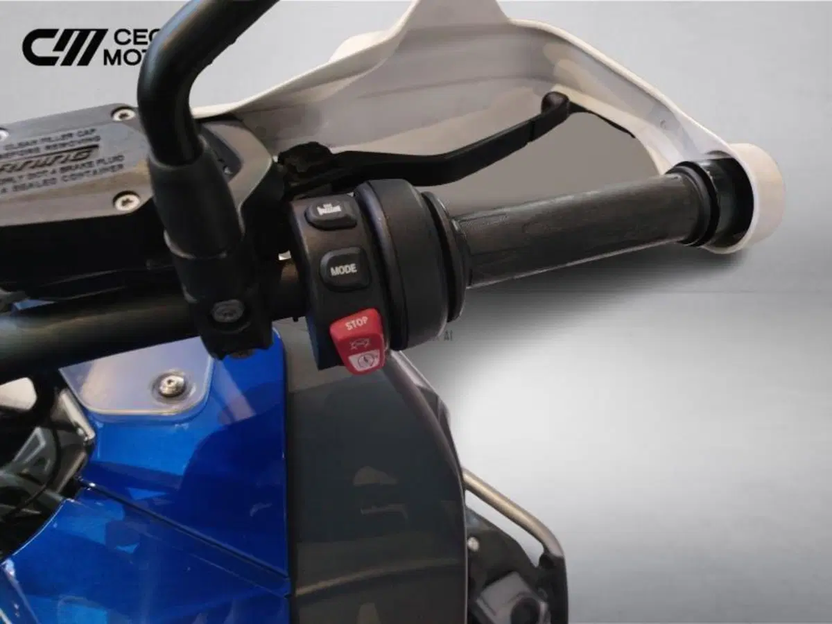 Bmw R 1250 GS Adventure (2019 - 20) (10)