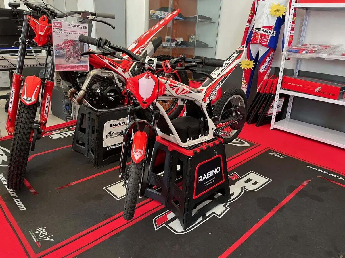 Betamotor Minitrial Electric 16" (2014 - 26) (8)