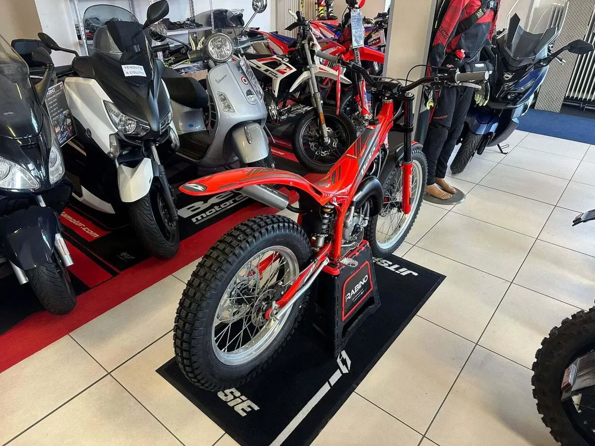 Betamotor Evo 80 Senior (2025 - 26) (3)