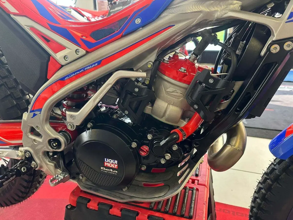 Betamotor Sincro 300 2T (2026) (12)